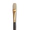 Princeton Series 6300 Dakota Synthetic Bristle Brush - Flat, Long Handle, Size 10